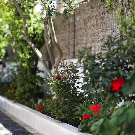 Vila Feliz - Premium Rooms With Free Private Parking Vlorë Екстериор снимка