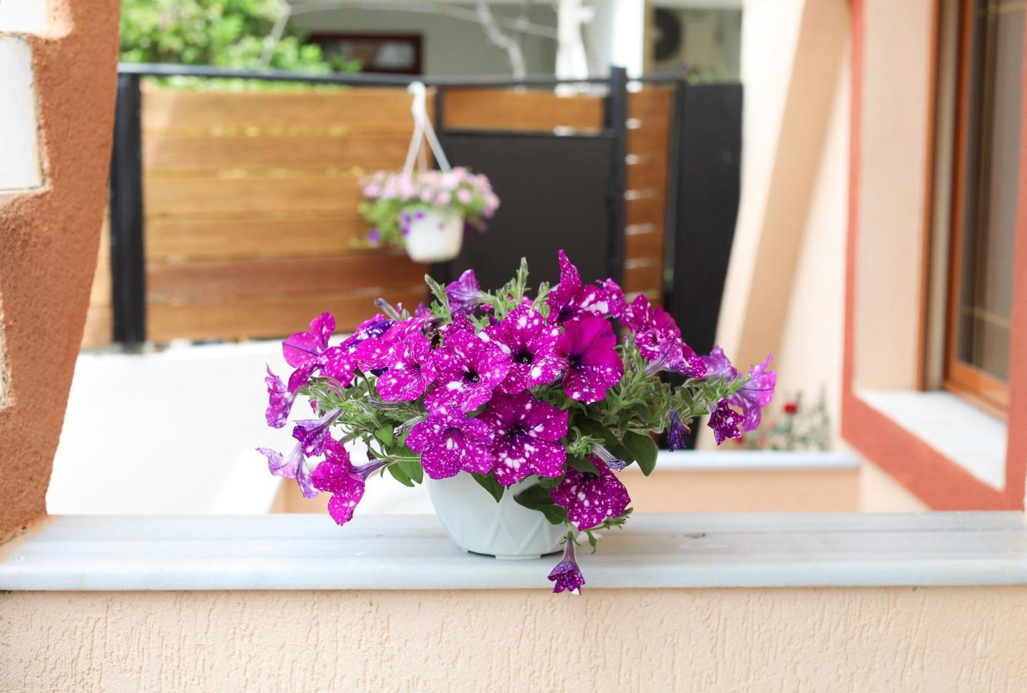 Vila Feliz - Premium Rooms With Free Private Parking Vlorë Екстериор снимка