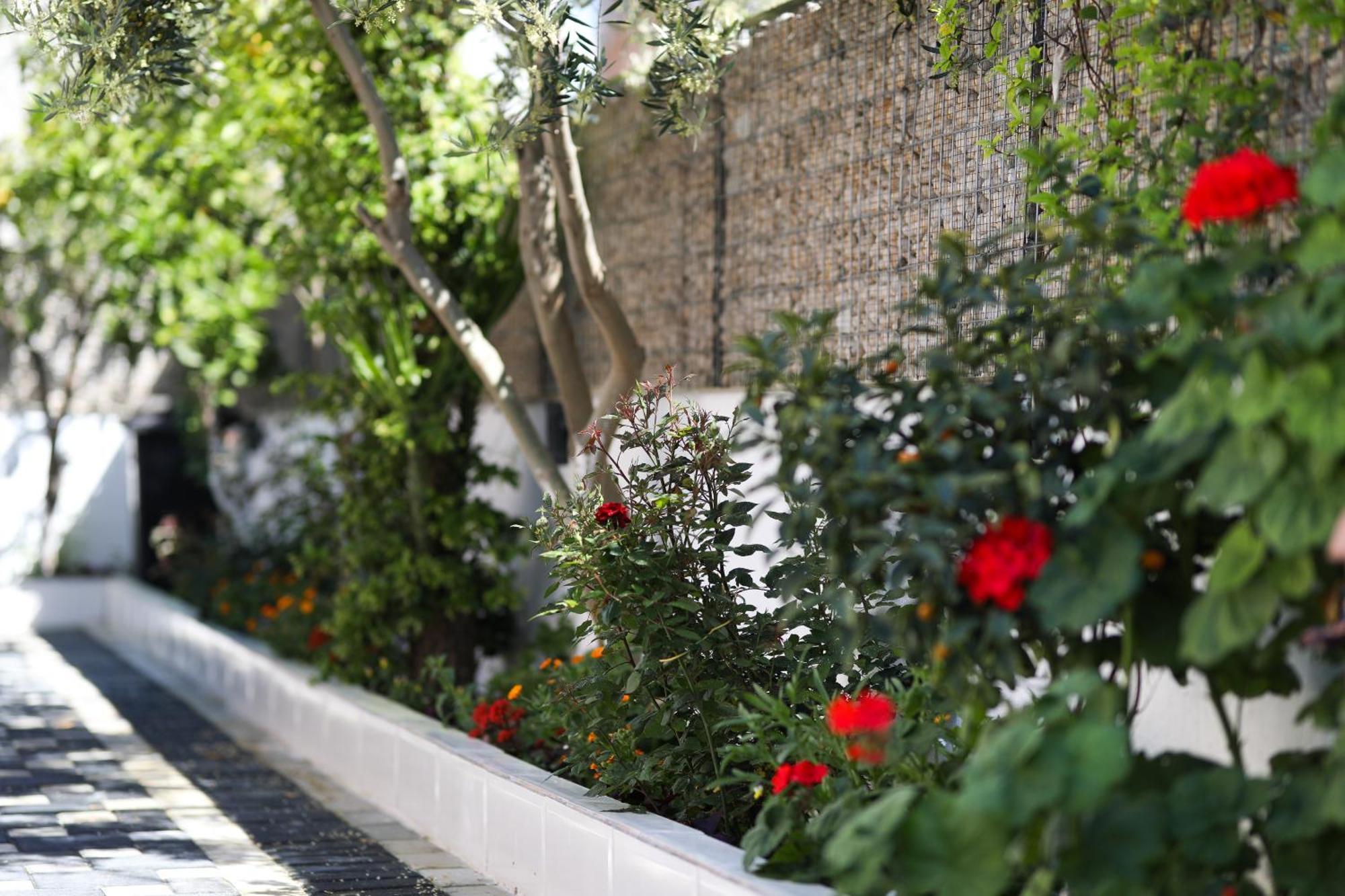 Vila Feliz - Premium Rooms With Free Private Parking Vlorë Екстериор снимка