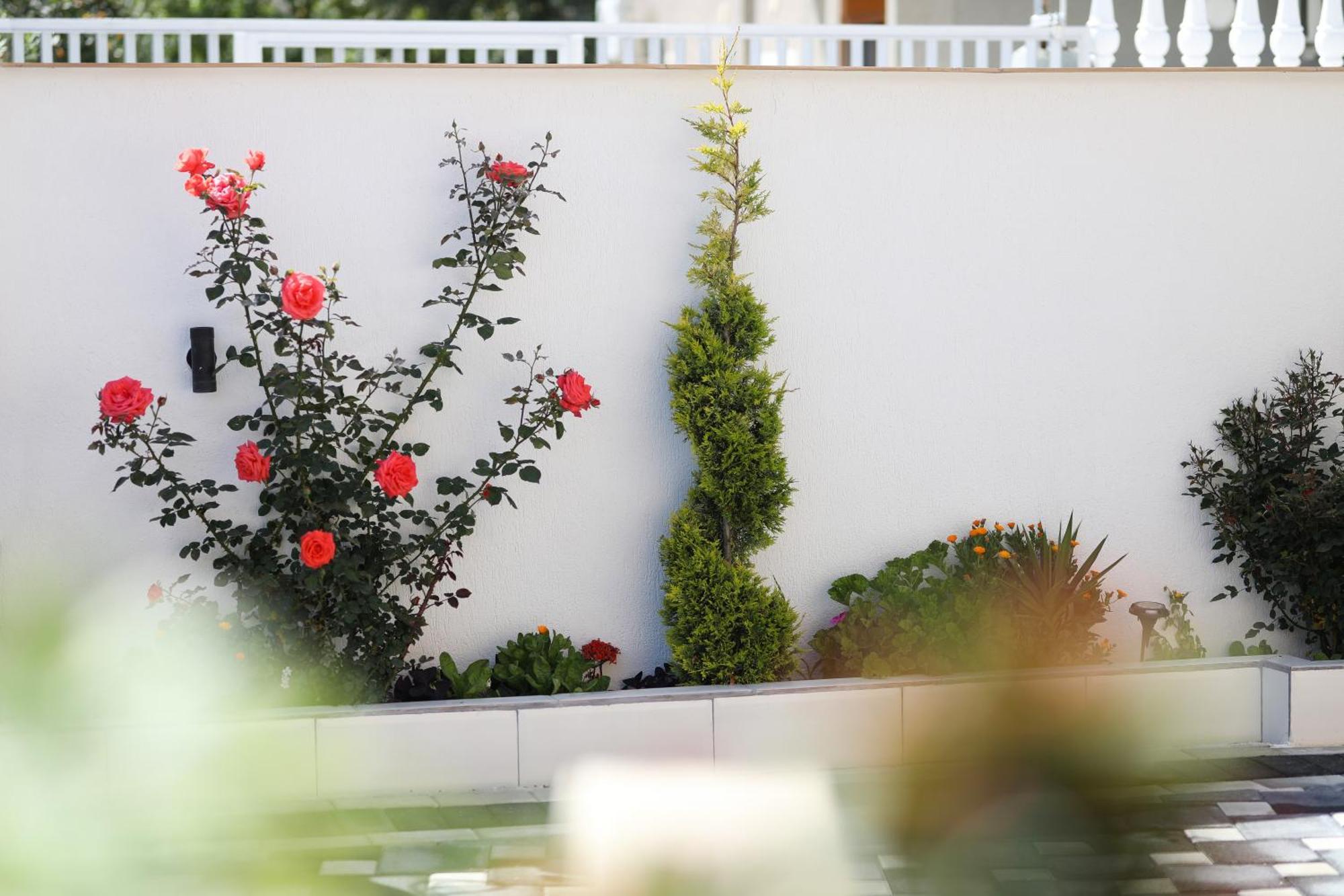 Vila Feliz - Premium Rooms With Free Private Parking Vlorë Екстериор снимка