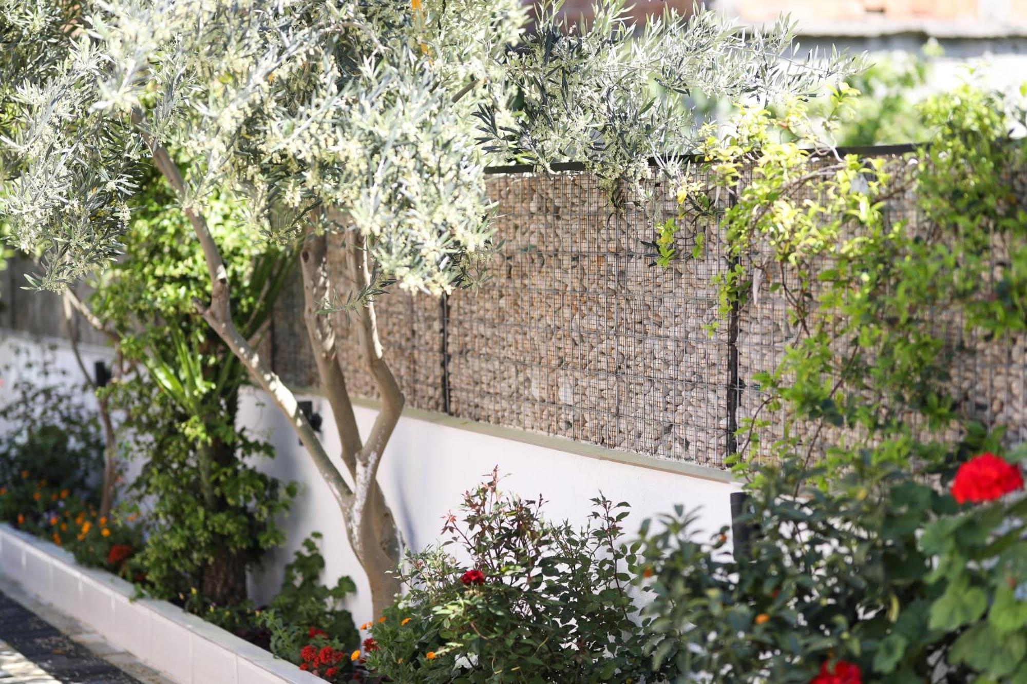 Vila Feliz - Premium Rooms With Free Private Parking Vlorë Екстериор снимка